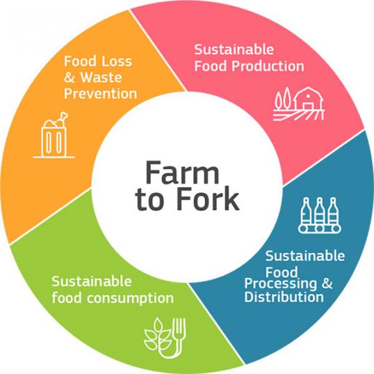 Farm to Fork (PCTO)