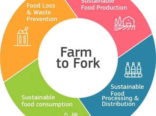 PCTO: FARM TO FORK